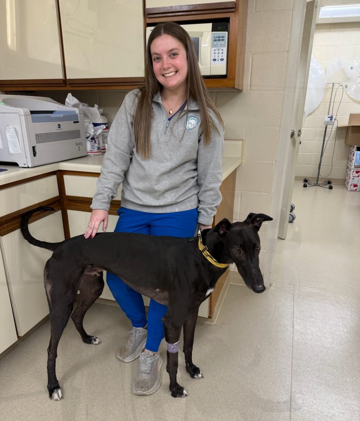 veterinary services  Greenville, KY 